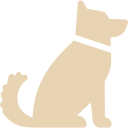 animaux acceptes